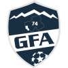 home team logo