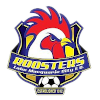 home team logo