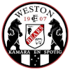 home team logo