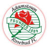 home team logo