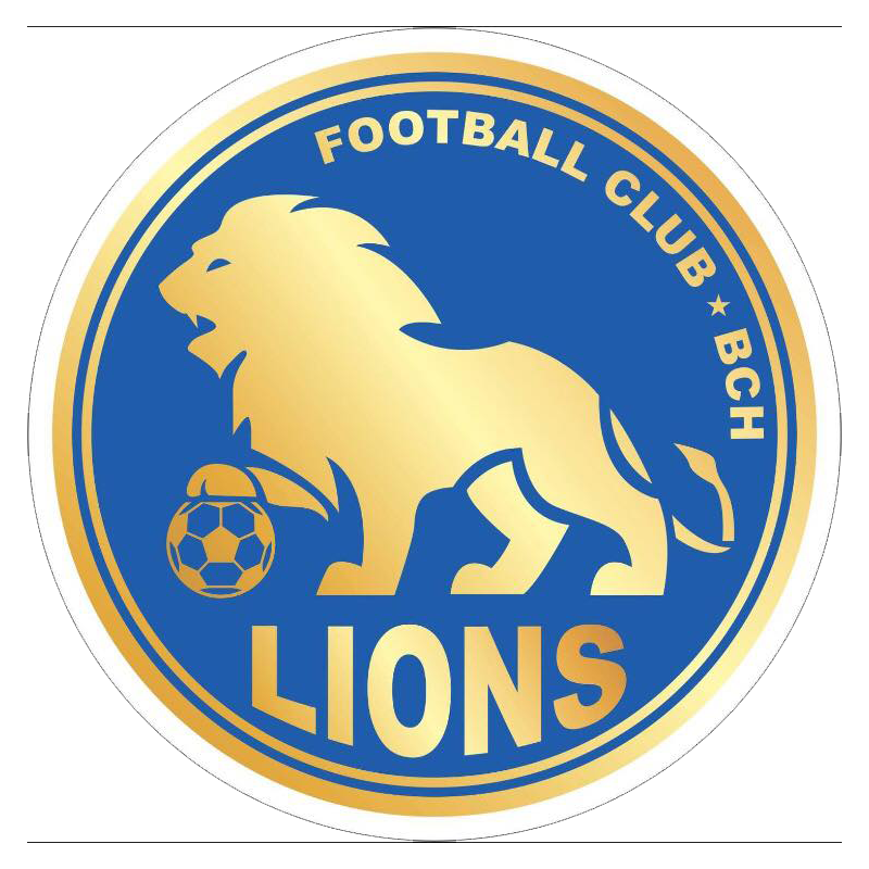 home team logo