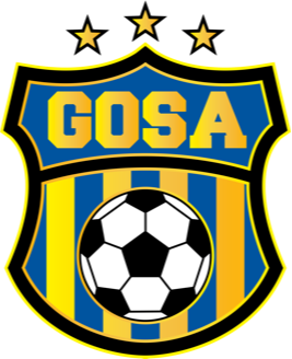 home team logo