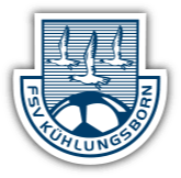 home team logo