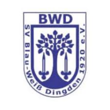 home team logo