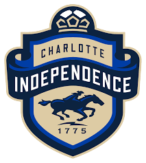 home team logo