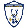 home team logo