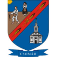 home team logo
