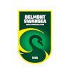 home team logo