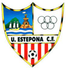 home team logo