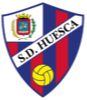 home team logo