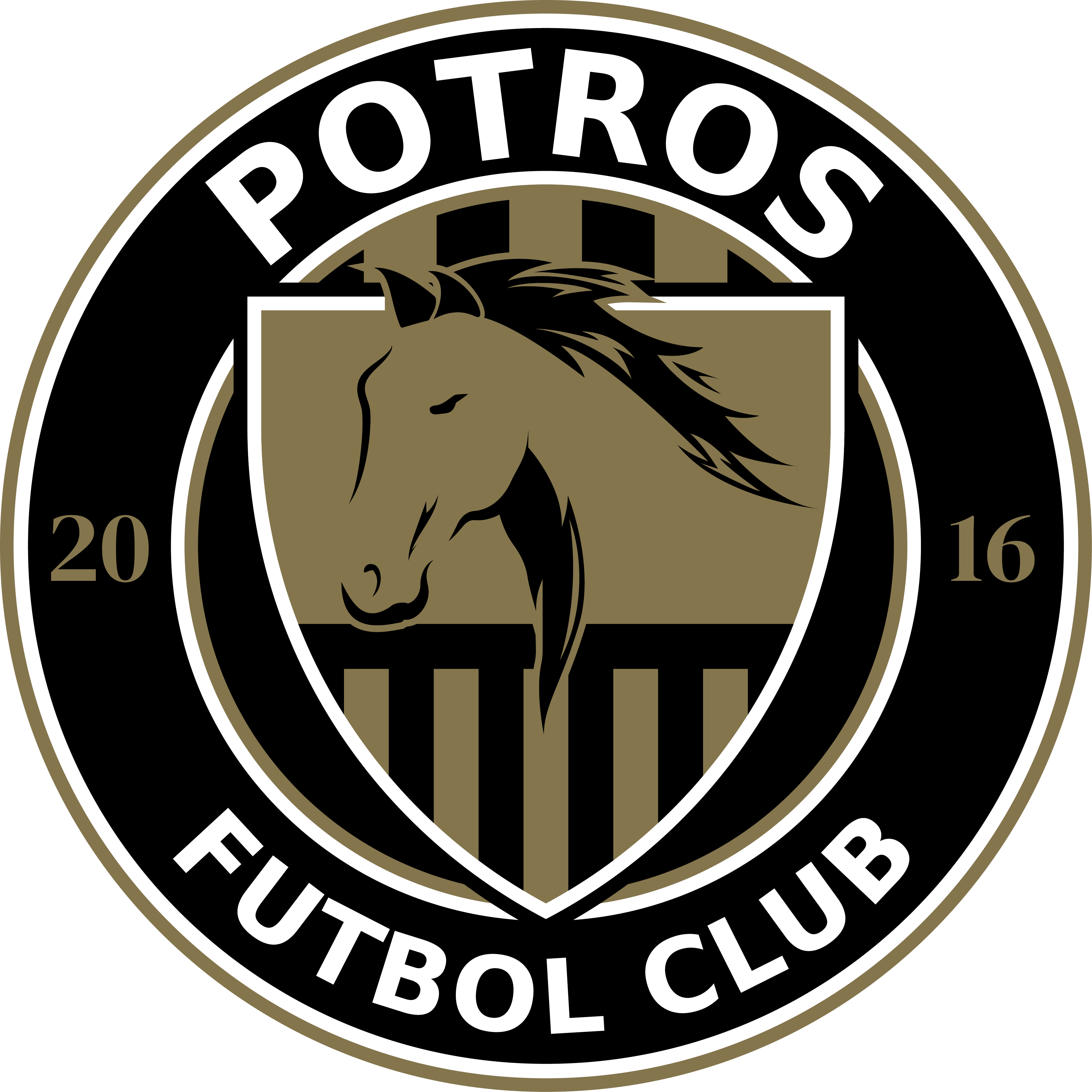home team logo