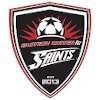 home team logo