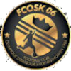 home team logo