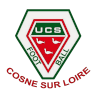 home team logo