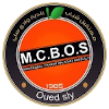 home team logo