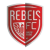 home team logo