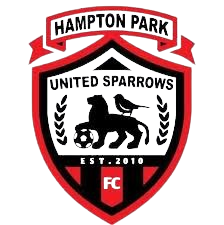 home team logo