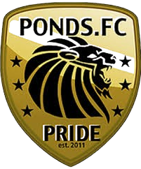 home team logo