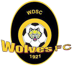 home team logo