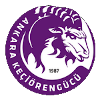 away team logo