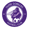 home team logo