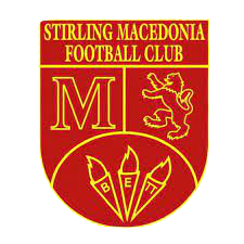 home team logo