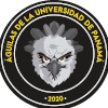 home team logo