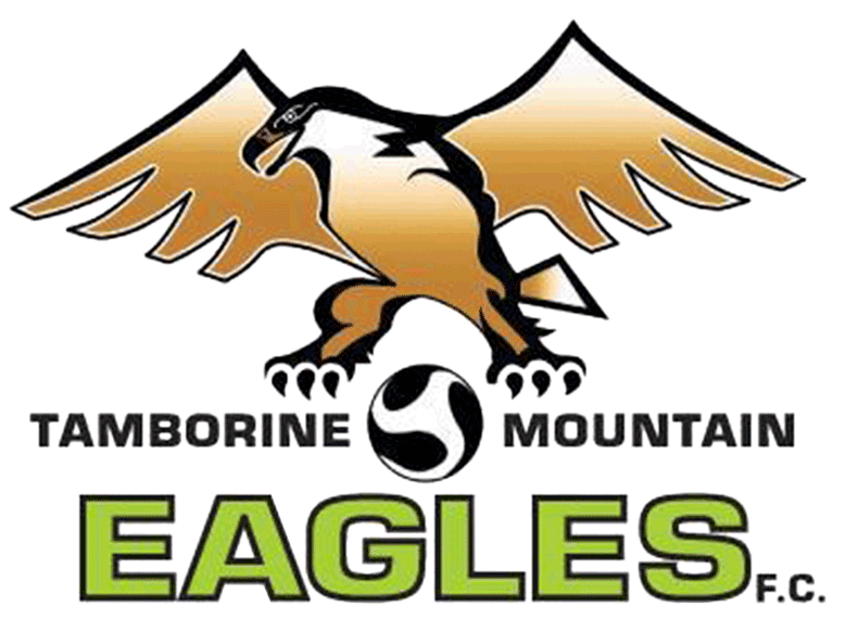 away team logo