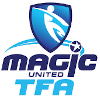 home team logo