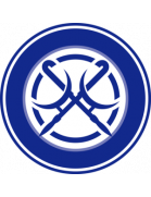 home team logo