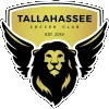 away team logo
