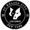 home team logo