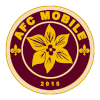 home team logo