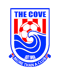 home team logo