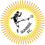home team logo