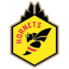 home team logo
