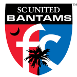 home team logo