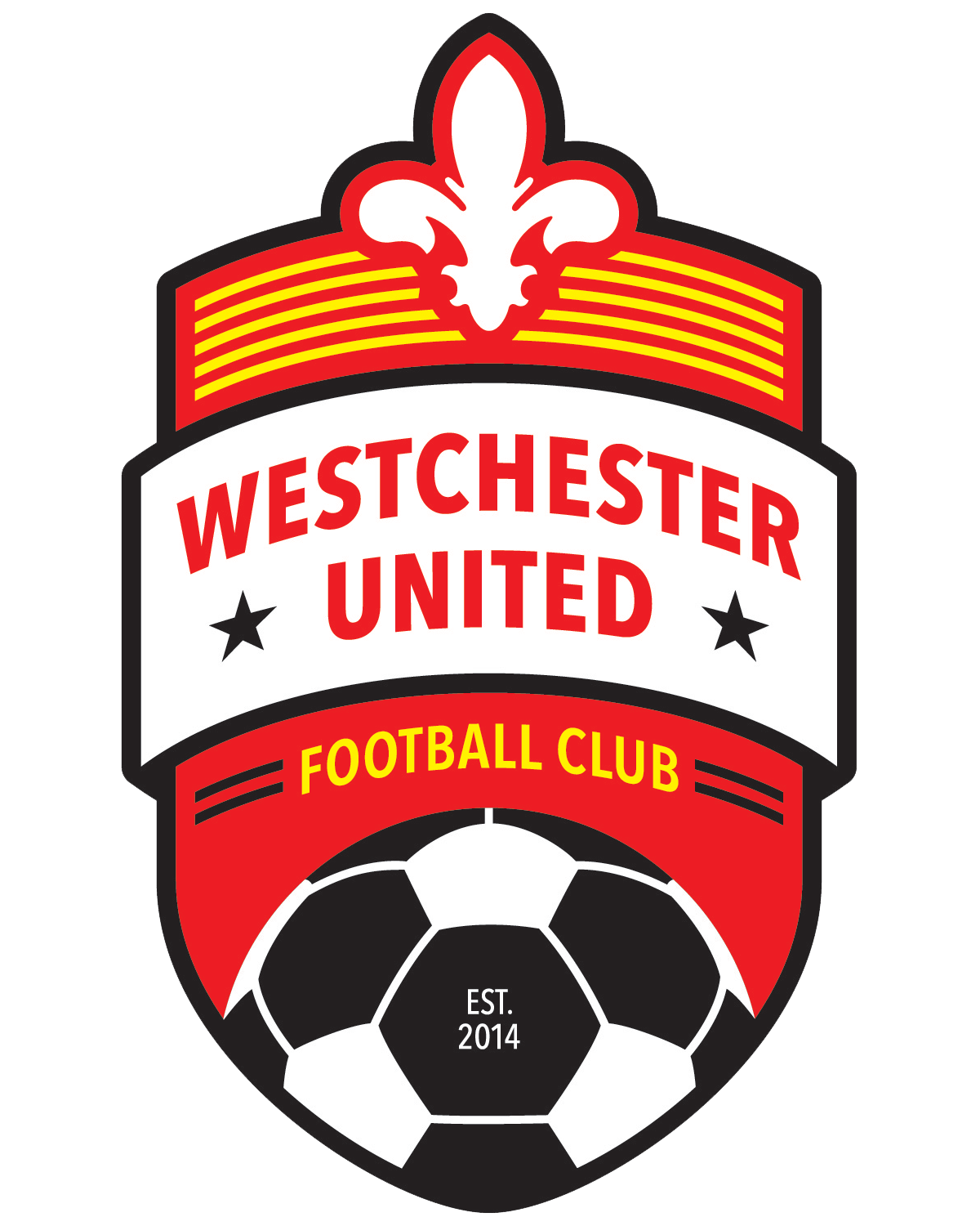 home team logo