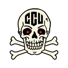 home team logo