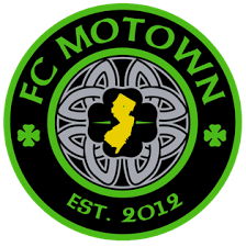 home team logo