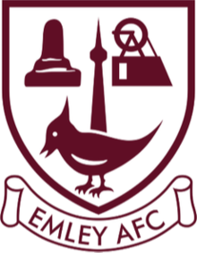 away team logo