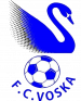 home team logo