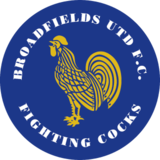 home team logo