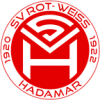 home team logo
