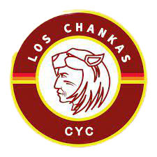 home team logo