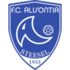 home team logo
