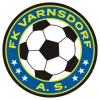 home team logo