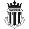 home team logo