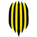 home team logo