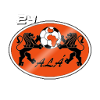 home team logo